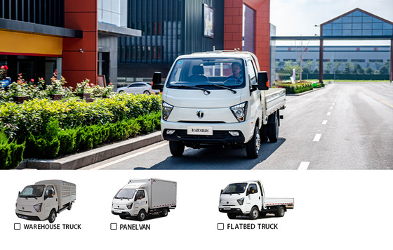 250km クルージング範囲 2024年に小型商用用のFeidi EF3電動ミニトラックピックアップ