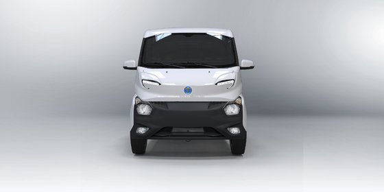 フェイディ Q2V コンテナの持ち上げと輸送のための自動3m貨物配送トラック