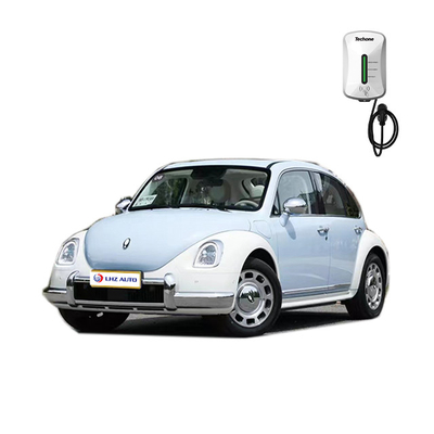 2024年 ORA バレエキャット レトロスタイル パノラマ式太陽屋根5人座電動車