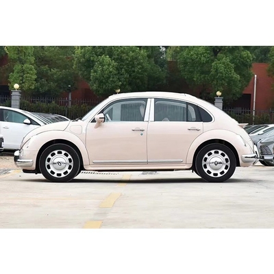 10ヶ月 紫 ORA バレットキャット 電動電動車 セダン 2024 成人のためのエネルギー車
