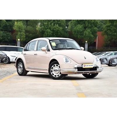 10ヶ月 紫 ORA バレットキャット 電動電動車 セダン 2024 成人のためのエネルギー車