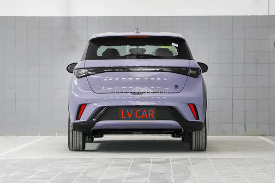 BYD イルカ電動車 420km 範囲 2023 アダルトモデル 最大出力 45kW ハイトン電動車