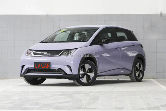 BYD イルカ電動車 420km 範囲 2023 アダルトモデル 最大出力 45kW ハイトン電動車