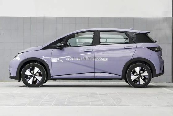 BYD イルカ電動車 420km 範囲 2023 アダルトモデル 最大出力 45kW ハイトン電動車