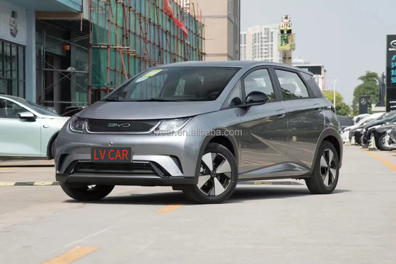 電気バイアード ハイトン イルカ 自動車 大人用 2024 モデル 5 席 急速 0.5 時間 充電