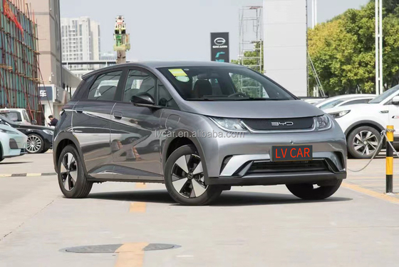 電気バイアード ハイトン イルカ 自動車 大人用 2024 モデル 5 席 急速 0.5 時間 充電