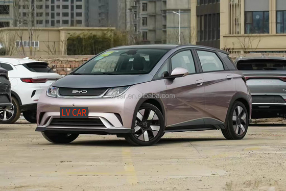 電気バイアード ハイトン イルカ 自動車 大人用 2024 モデル 5 席 急速 0.5 時間 充電