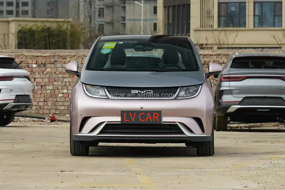 電気バイアード ハイトン イルカ 自動車 大人用 2024 モデル 5 席 急速 0.5 時間 充電