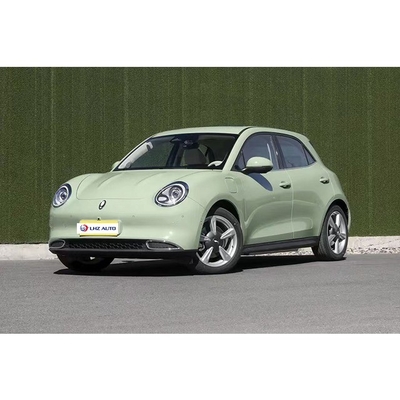 電気駐車ブレーキ 2024 グレートウォール・オラ グッド・キャット カーエンターテインメントシステム