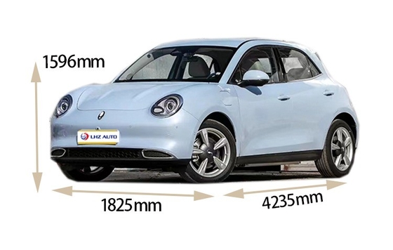 多機能ステアリングホイール 400-500kmの範囲と最大トルクを持つ電気SUV