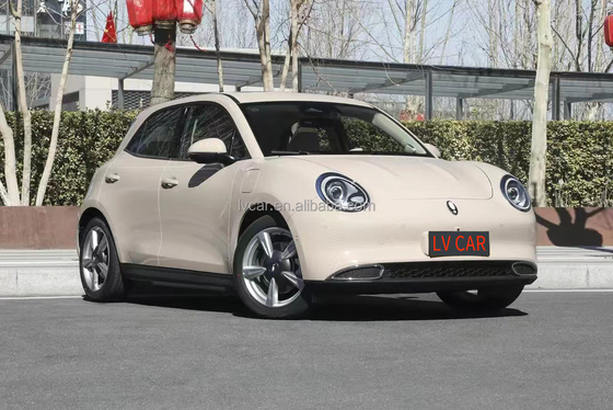 2024 ORA グッドキャット 電動車 バッテリー容量 49.9KWH 最大トルク 210N.m
