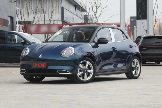 2024 ORA グッドキャット 電動車 バッテリー容量 49.9KWH 最大トルク 210N.m