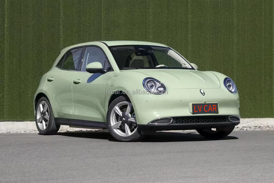 2024 ORA グッドキャット 電動車 バッテリー容量 49.9KWH 最大トルク 210N.m